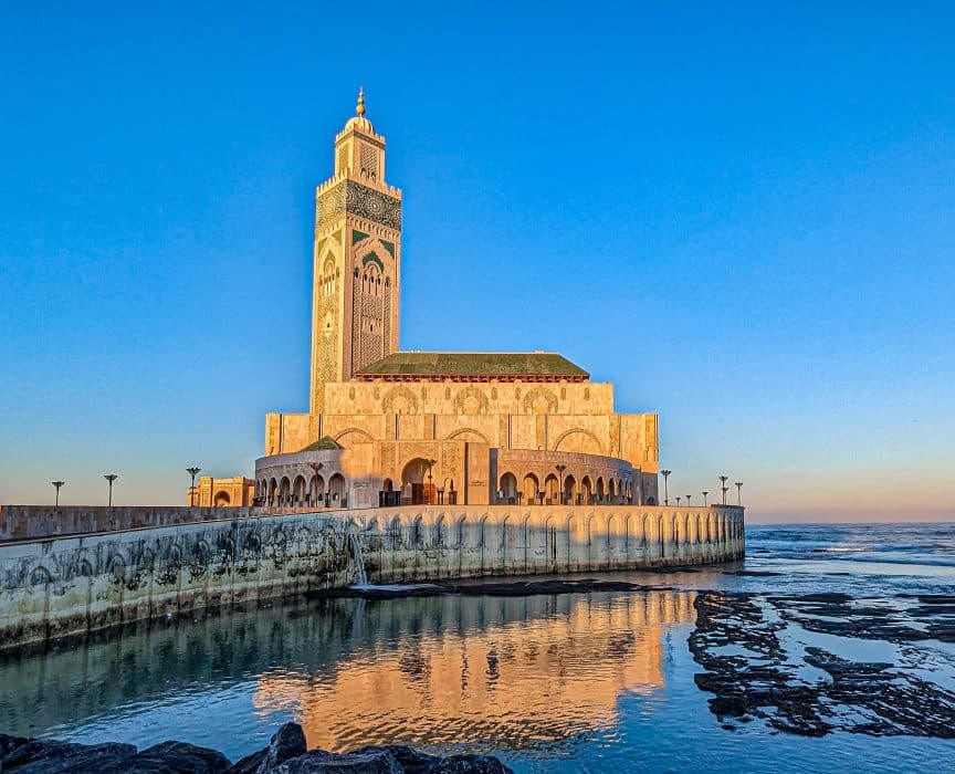 Services animaliers à Casablanca