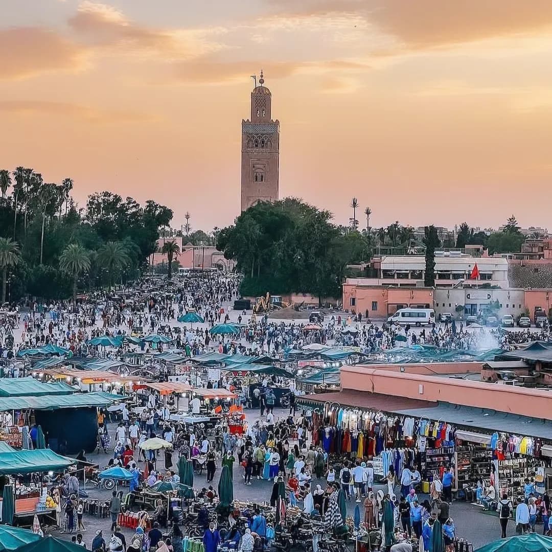 Services animaliers à Marrakech