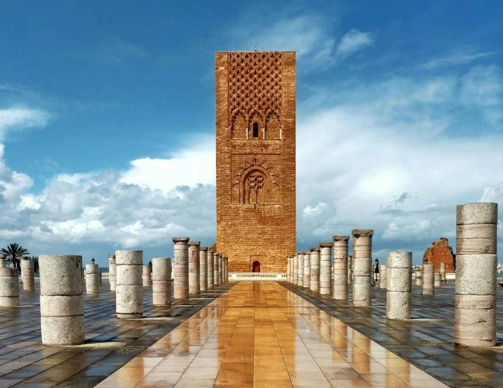 Services animaliers à Rabat